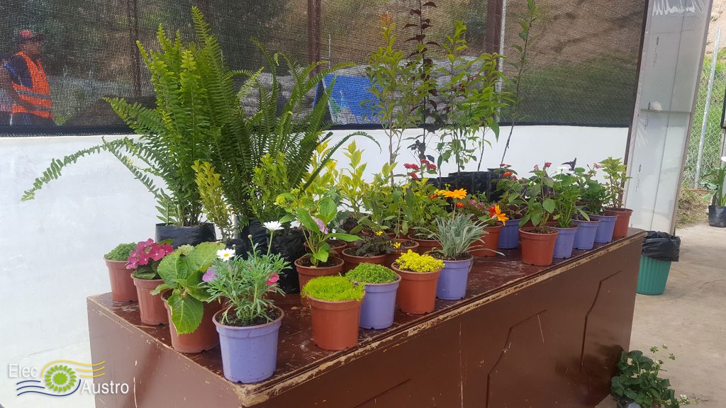 VIVERO3