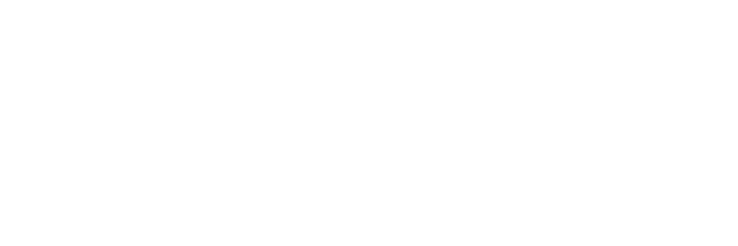 ELECAUSTRO